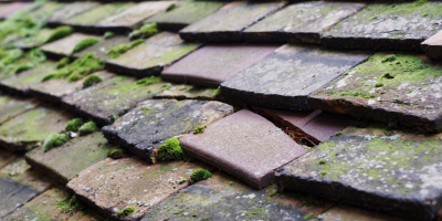 Whetstone roof repair costs